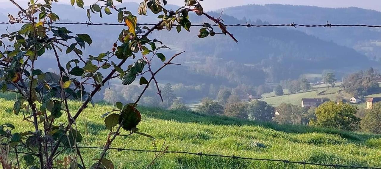 La Mazille , Cossy Vakantiestudio Met Zwembad In Zuid-Bourgogne Anglure-sous-Dun Exteriér fotografie